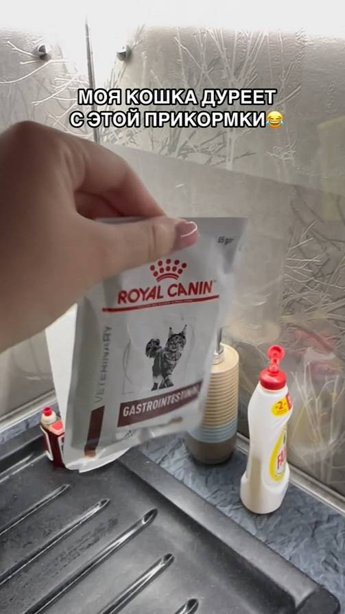 Моя кошка дуреет с этой прикормки