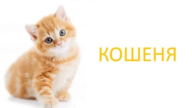 Слово - назва предмета. Українська мова он-лайн. смотреть онлайн