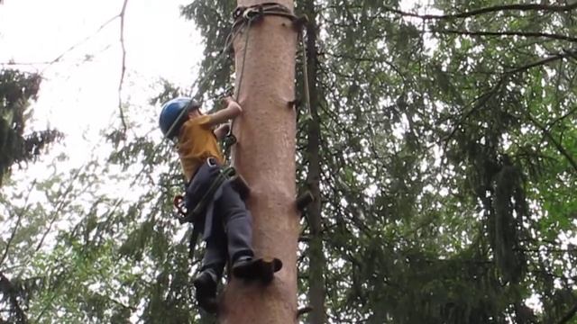 Древолазание смотреть онлайн