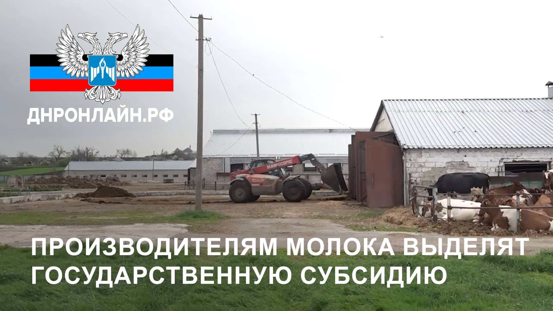 Производителям молока выделят государственную субсидию смотреть онлайн