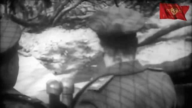 Песня _Выпьем за Родину, выпьем за Сталина_ _Волховская застольная_ — сл. Павла Николаевича Шубина. смотреть онлайн