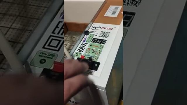 Распаковка инкубатора Луппер смотреть онлайн