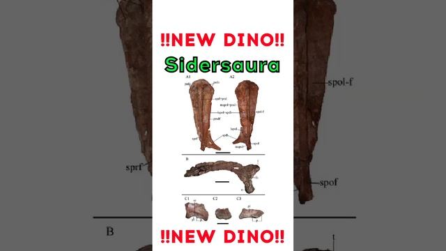New Dino: Sidersaura смотреть онлайн