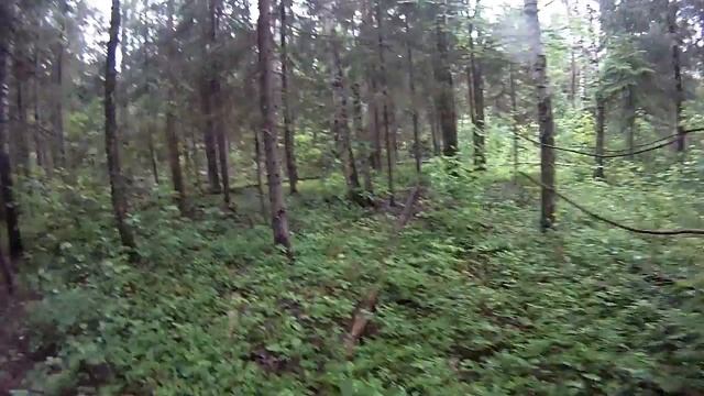 Простой выход в дождливую погоду (выход в лес и дождь) смотреть онлайн