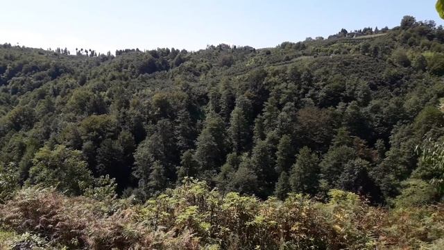 Экспедиция "АСТРО-ЭНИО" по местам Силы,Грузии смотреть онлайн