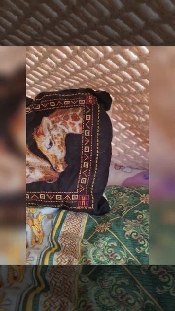 сделала детям палатку из подручных материалов: палки, подушки, одеяла и гирлянда смотреть онлайн