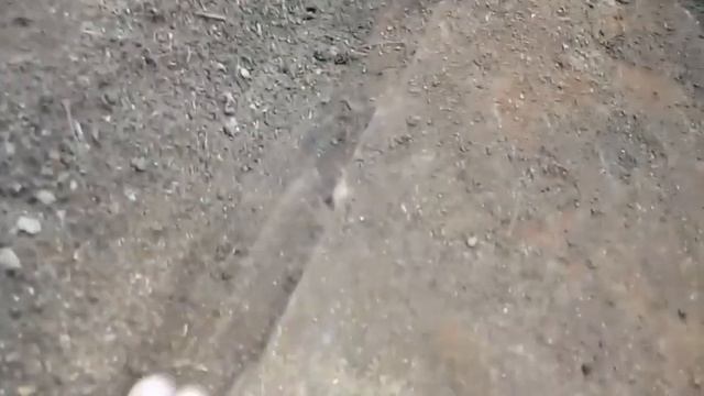 НЕСКОЛЬКО ТОНН УЖЕ ВЫВЕЗ С ЭТОГО МЕСТА! смотреть онлайн