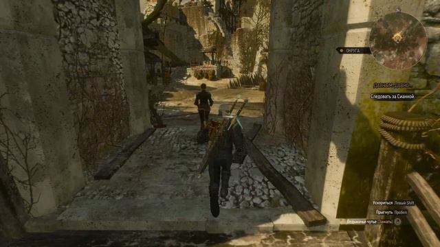 2025 the wither 3 #74