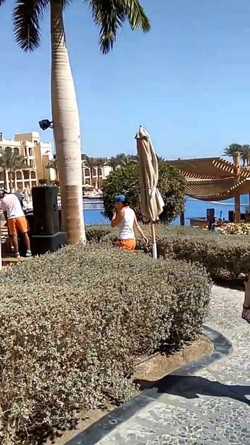 "Тропитель Сахл Хашиш" 5*, Хургада, Египет смотреть онлайн