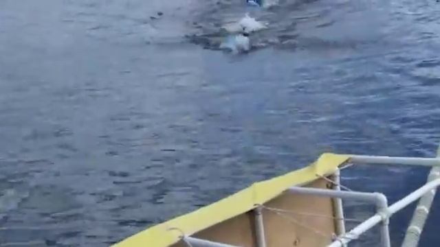 Коровашка 2018 Открытая вода (финиш) 2 смотреть онлайн
