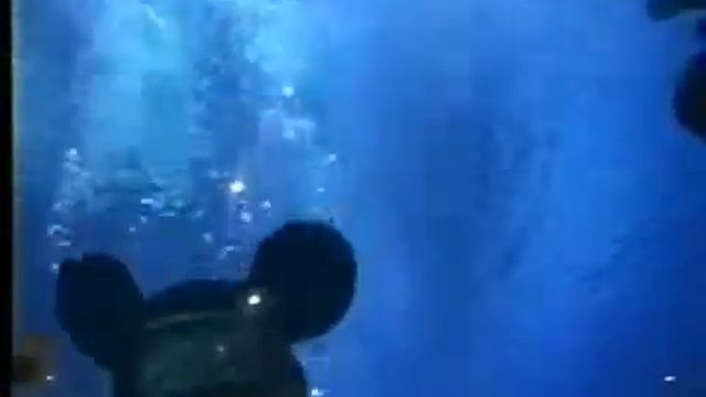 Дайвинг. Mickey Mouse scuba diving.mp4 смотреть онлайн