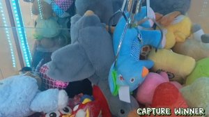 ДОЛГОЖДАННЫЕ НОВИНОЧКИ!!! ПРОДОЛЖЕНИЕ, КОГО ПОЙМАЮ НА ЭТОТ РАЗ😉🥰🥰🥰