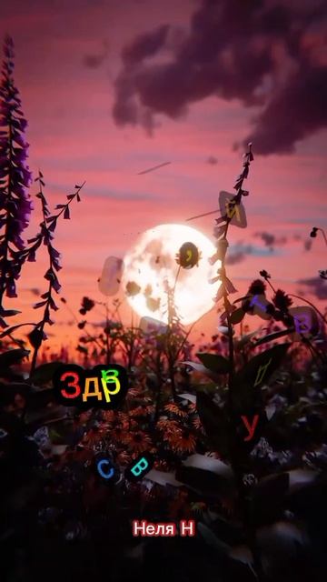 Доброе утро. Добрый вечер ВидеоОткрытка на каждый день смотреть онлайн