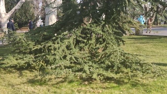 Севастополь. Сквер возле пл. Нахимова. смотреть онлайн