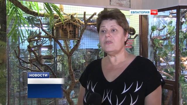 В евпаторийском Тропикпарке новый младенец смотреть онлайн