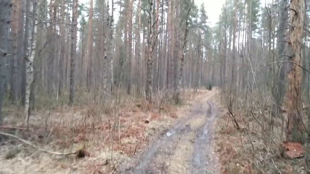 Карельский перешеек 2 смотреть онлайн