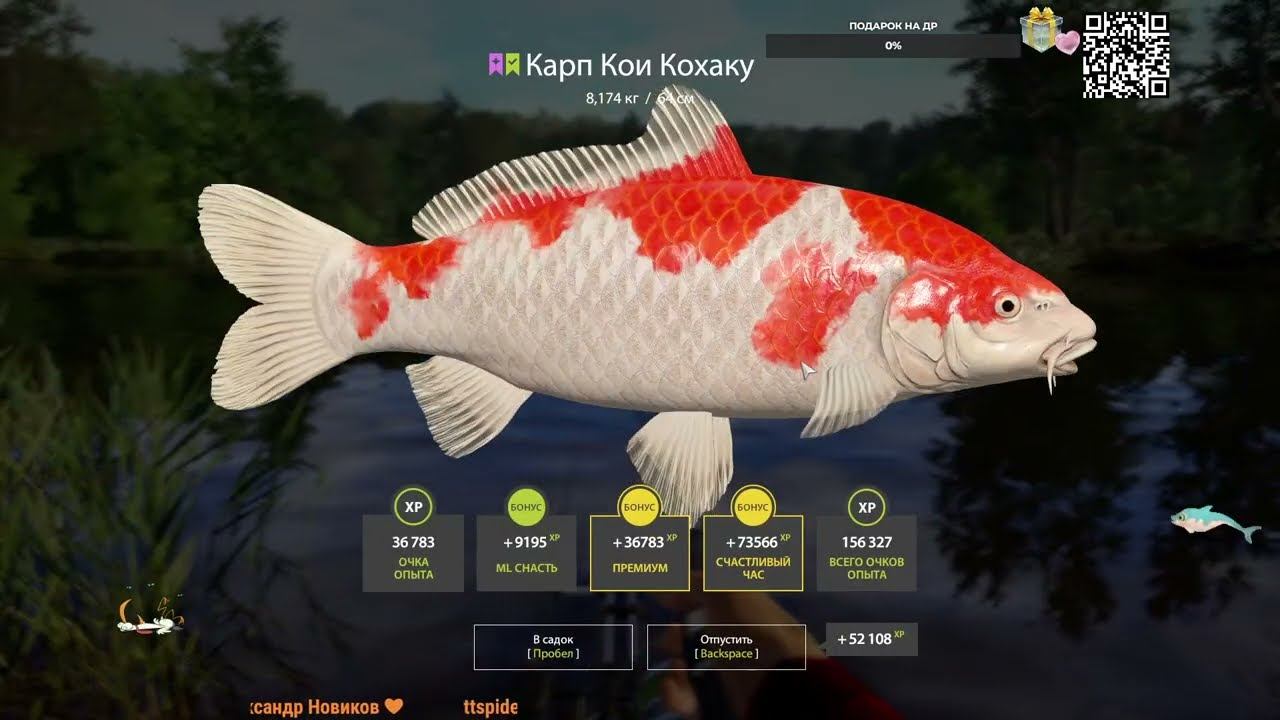 Проверяем точки клева) ▶Русская рыбалка 4 / PP4