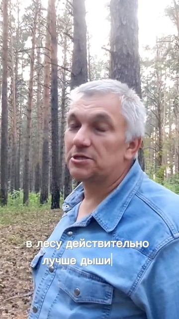 Строить в лесу выгоднее, чем на пустырях? #защиталеса смотреть онлайн