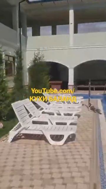 ТАШКЕНТ - УГОМСКИЙ ЗОНА ОТДЫХА #Shorts смотреть онлайн