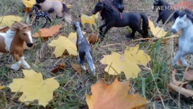 Осенняя фотосессия) 😁❤😍 благодарю вас! Спасибо за 70 подпищиков!!!! смотреть онлайн