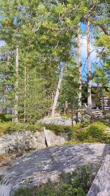 Райское место - изба на острове, банька на берегу, чистейшая питьевая вода в озере 🌿 смотреть онлайн