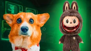 ЛАБУБУ ЭТО СТРАШНЫЙ МОНСТР!! ТИКАЕМ!! ВИДОС от Коржика!