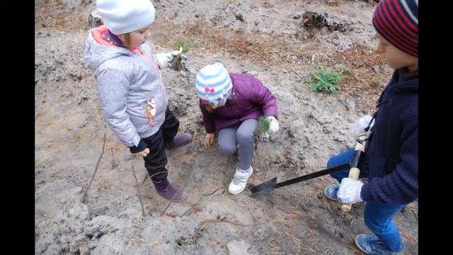 VOGNER посадка лісу 2018 смотреть онлайн