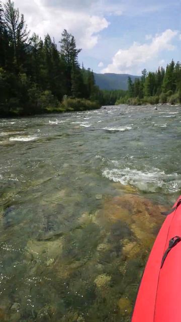 Алтай / река Башкаус 🌎 #путешествие #природа #горы #лодка #водомёт #тюнинглодок смотреть онлайн