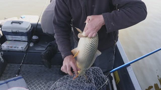 "НАРОДНЫЙ ПРОЕКТ АСТРАХАНЬ". смотреть онлайн