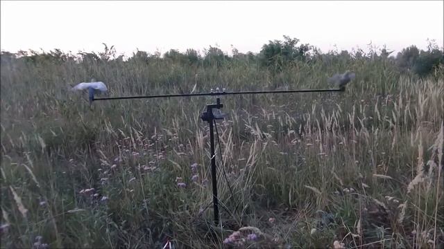 Голубиный магнит (универсальный магнит утка-голубь) - naprirode.com.ua смотреть онлайн