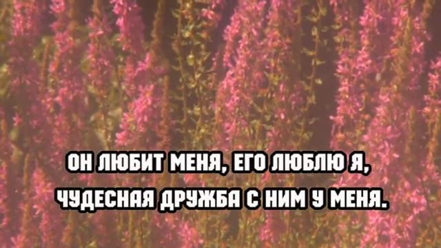 Любит Иисус меня. Христианское караоке 🎤 смотреть онлайн