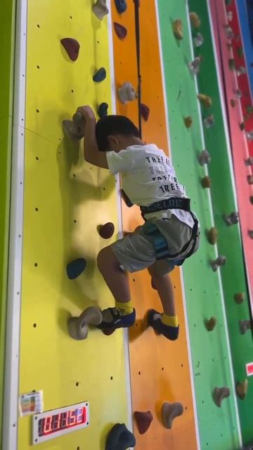 THall Wall Climb Age Group 4-7 смотреть онлайн