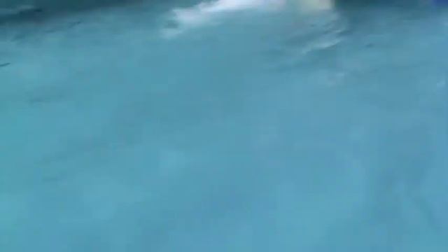 Отдыхаем в аквапарке " НАУТИЛУС " Лазаревское, очень классно!!! смотреть онлайн