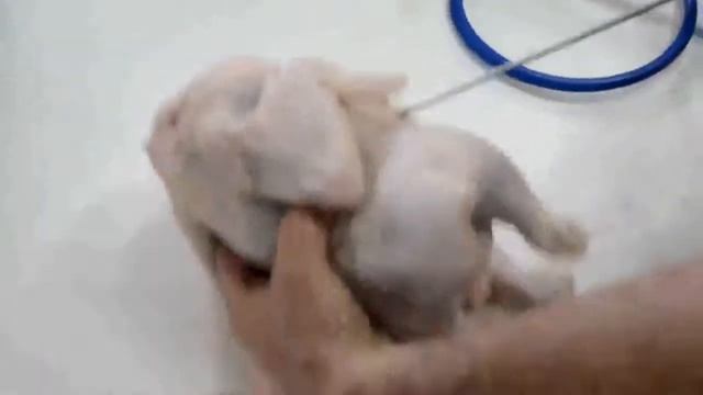 Ручной Инъектор смотреть онлайн