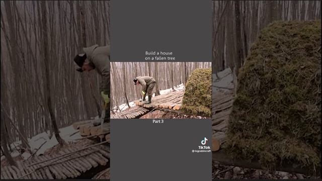 Дом из дерева в лесу смотреть онлайн