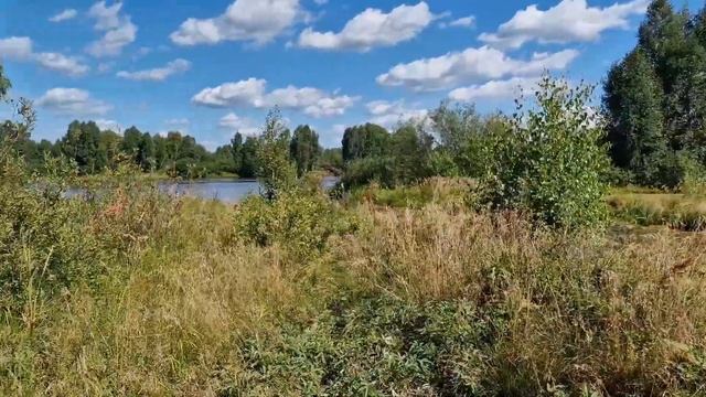 ОХОТА на УТКУ | утки НЕТ | проверка ДЕШЁВЫХ ПАТРОНОВ | Dji #охота2022 смотреть онлайн