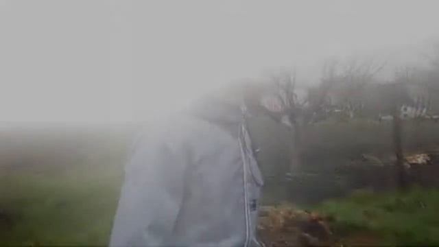 Самий удачный влог на жопу смотреть онлайн