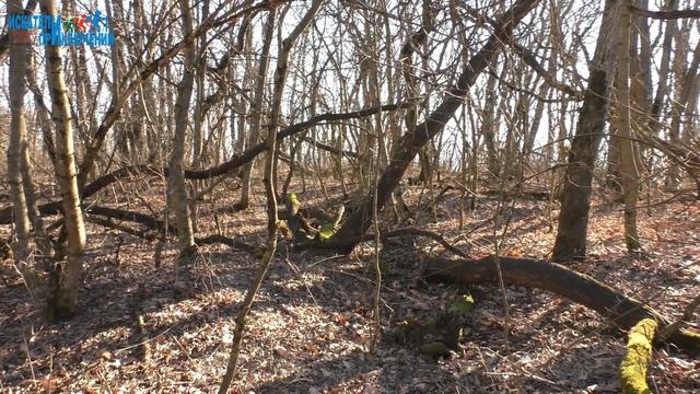 Кто виноват? Открытие сезона путешествий 2023. Сосновый бор в окрестностях Ставрополя. смотреть онлайн