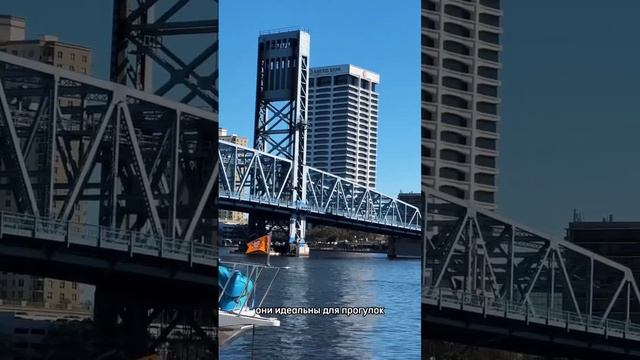 5 мест для посещения в городе Джексонвилль #жизньвсша #городасша смотреть онлайн