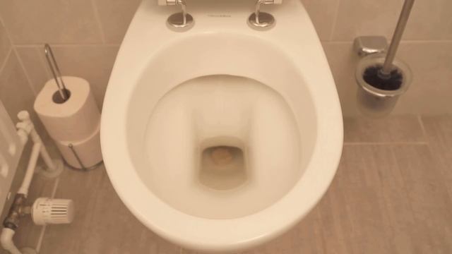Throw THIS in your Toilet and WATCH WHAT HAPPENS 💥 (Cleaning Trick) 🤯 смотреть онлайн