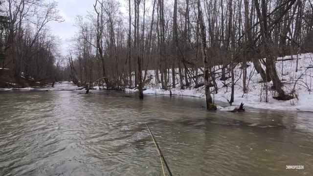 Открытие сезона. Нахлыст.  Ленинградской области. #нахлыст #flyfishing #ленинградскаяобласть
