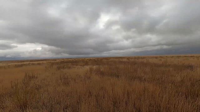 ОХОТА НА ГУСЯ. Тысячи уток на поле. Гусь прет налет за налетом. смотреть онлайн