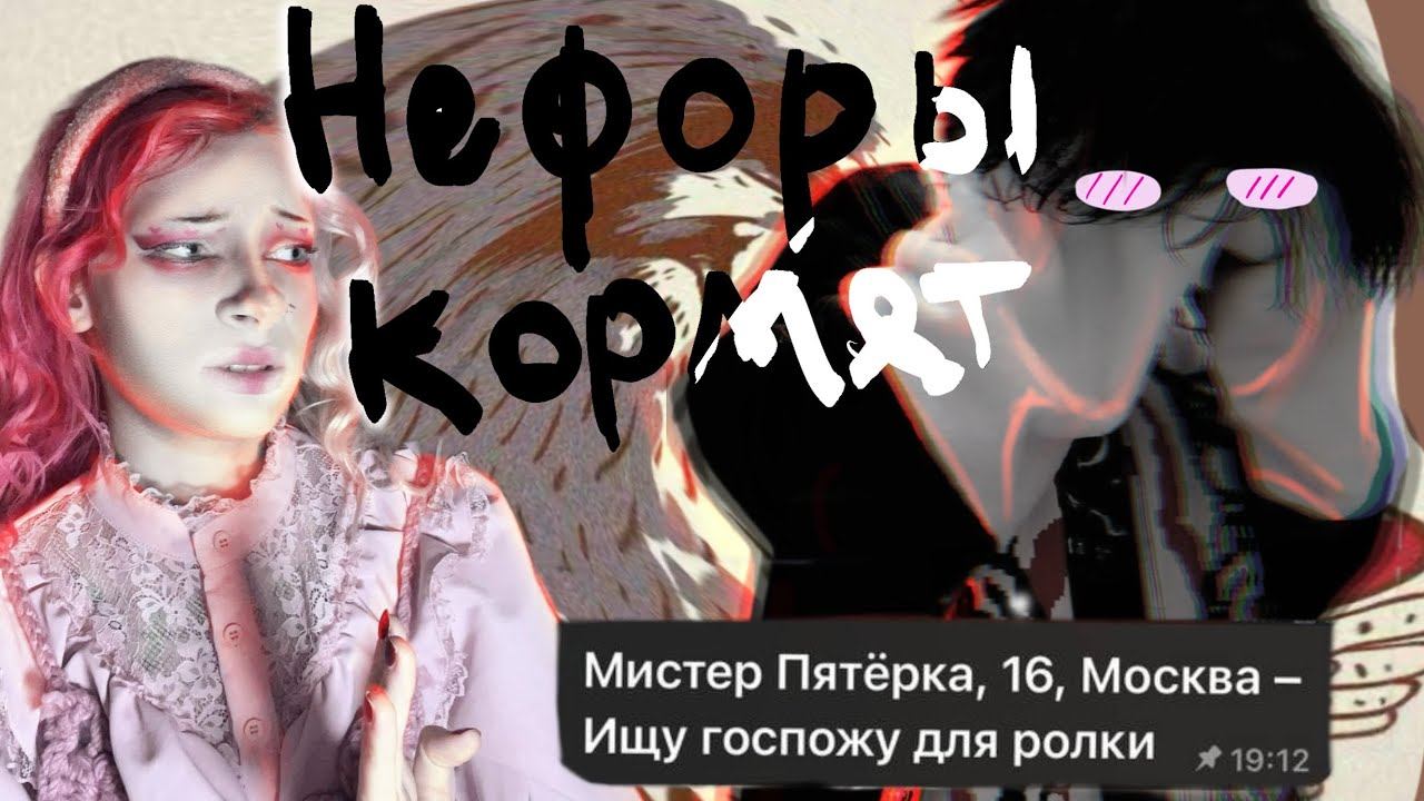 Дайвинчик – место, где остановилась эволюция| В закоулках интернета