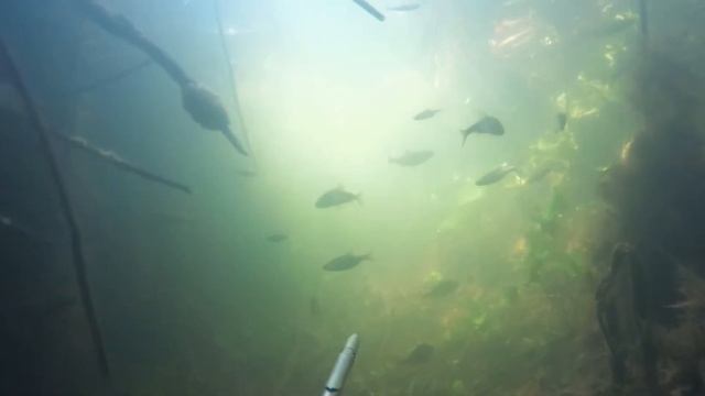 Камсак 2020 смотреть онлайн