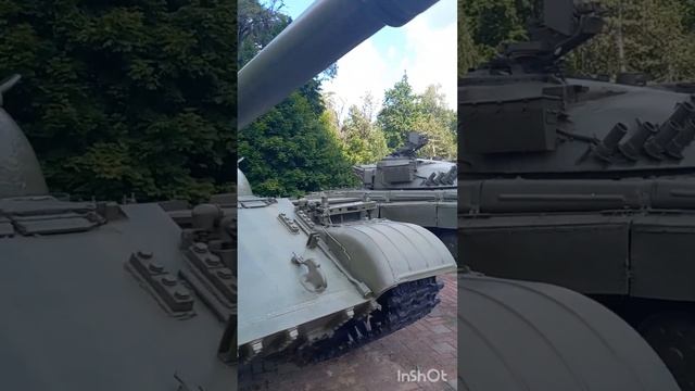Партизанская поляна🇷🇺 (только поляна) #брянск #партизан #партизанскаяполяна #рекомендация смотреть онлайн