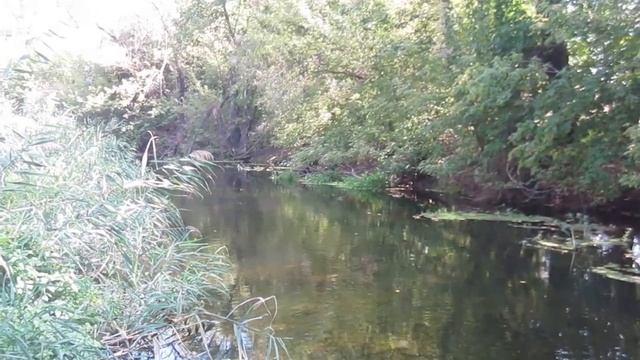 Едем в село к бабушке. Рыбалка не удалась. смотреть онлайн