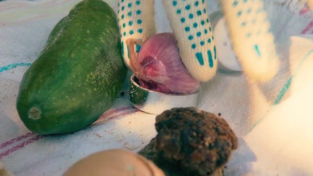 Проект "Шахматы" "Я жгу" смотреть онлайн