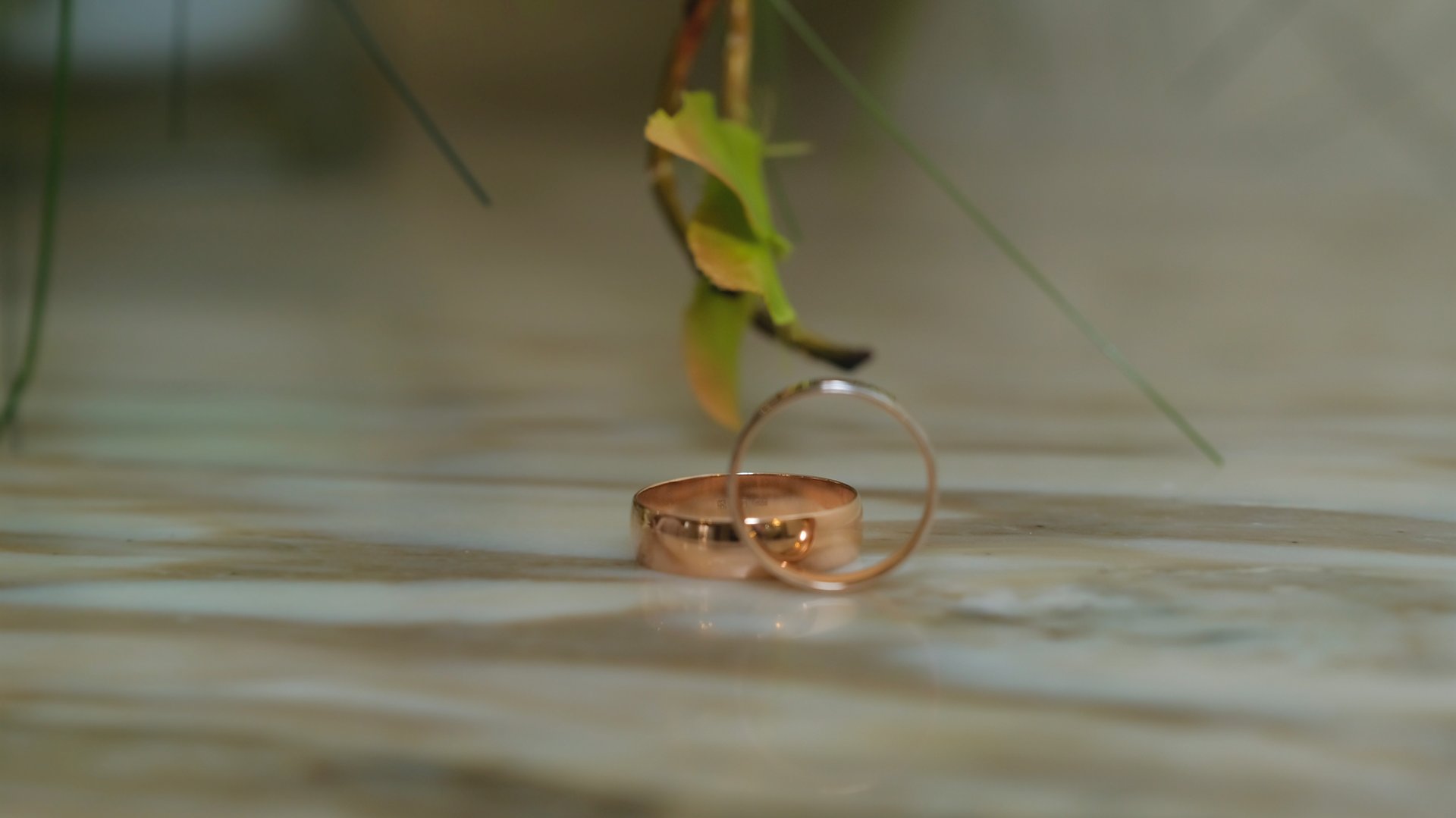 Максим и Анна. 21 февраля 2025 смотреть онлайн