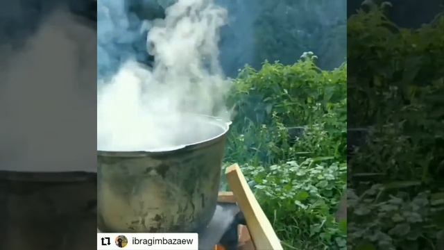 Отдых в Чечне Терлой лам смотреть онлайн