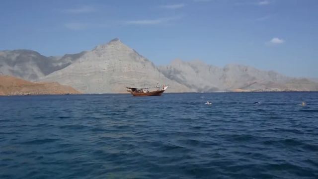 Oman Fjords | SwimTrek Trip Diary смотреть онлайн